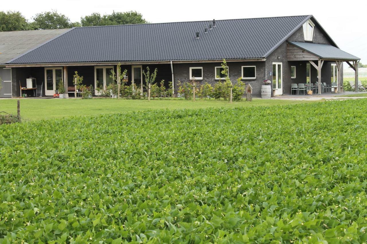 Munnickenheide Buitengewoon Overnachten Terheijden Eksteriør billede